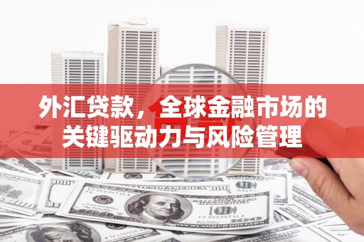 新园外汇贷款，全球金融市场的关键驱动力与风险管理