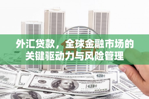 新园外汇贷款，全球金融市场的关键驱动力与风险管理