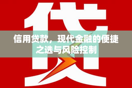 新园信用贷款，现代金融的便捷之选与风险控制