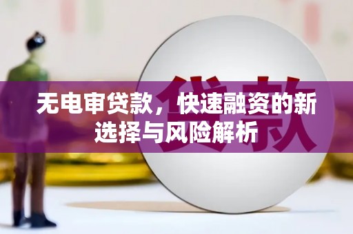 新园无电审贷款，快速融资的新选择与风险解析