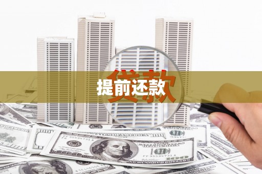 新园提前还款