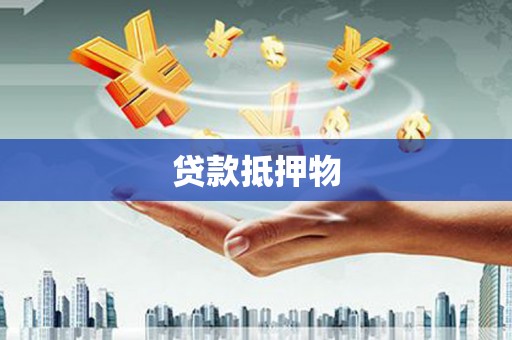 新园贷款抵押物