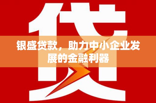新园银盛贷款，助力中小企业发展的金融利器
