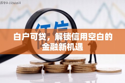 新园白户可贷，解锁信用空白的金融新机遇