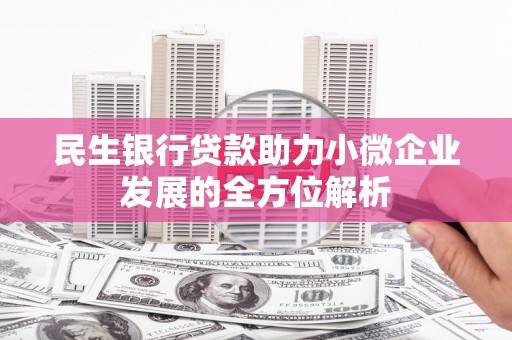 新园民生银行贷款助力小微企业发展的全方位解析