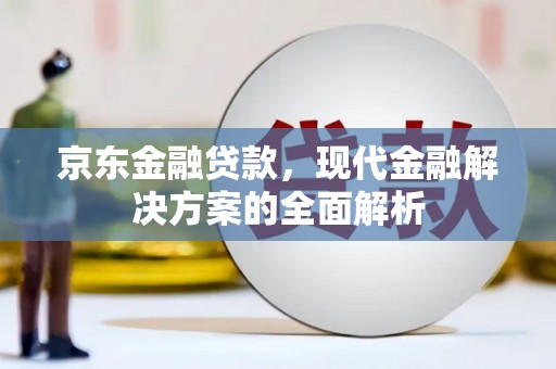 新园京东金融贷款，现代金融解决方案的全面解析