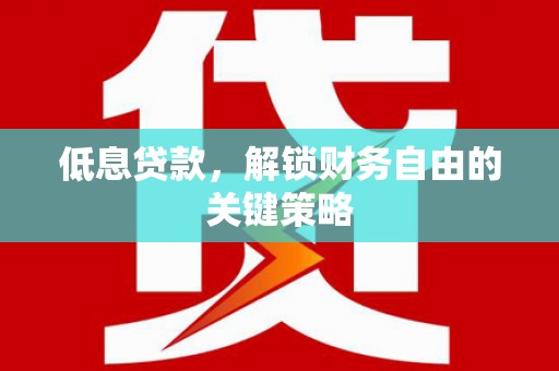 新园低息贷款，解锁财务自由的关键策略
