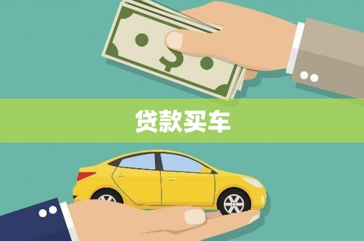 新园贷款买车