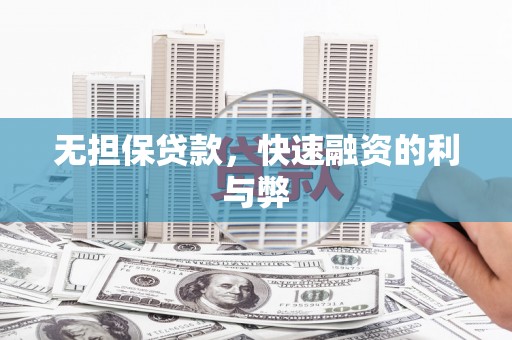 新园无担保贷款，快速融资的利与弊