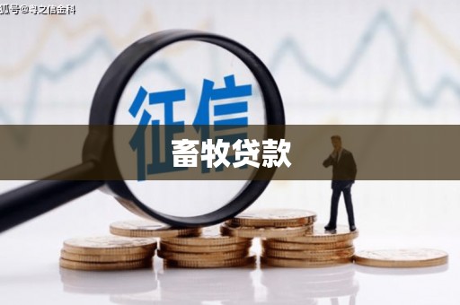 新园畜牧贷款