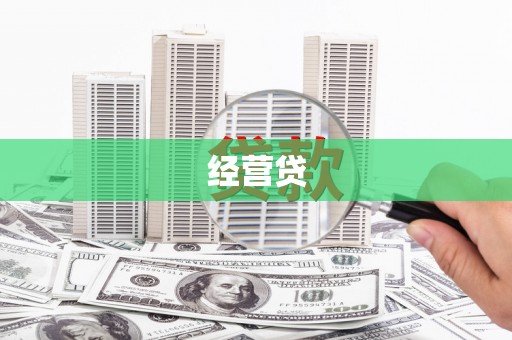 新园经营贷
