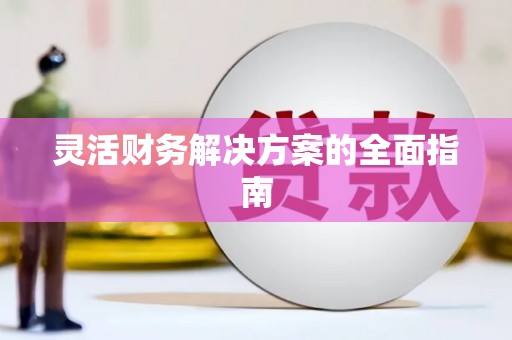 新园灵活财务解决方案的全面指南