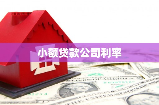 新园小额贷款公司利率