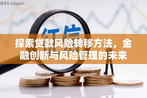 新园探索贷款风险转移方法，金融创新与风险管理的未来