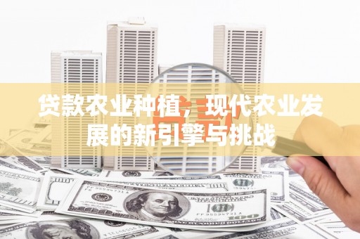 新园贷款农业种植，现代农业发展的新引擎与挑战