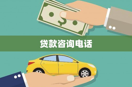 新园贷款咨询电话