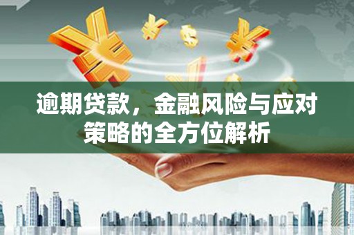 新园逾期贷款，金融风险与应对策略的全方位解析