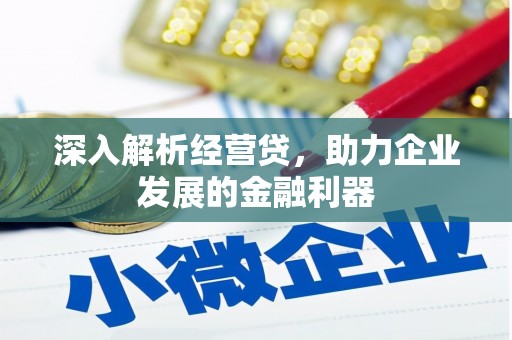 新园深入解析经营贷，助力企业发展的金融利器
