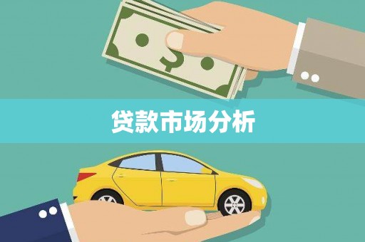 新园贷款市场分析