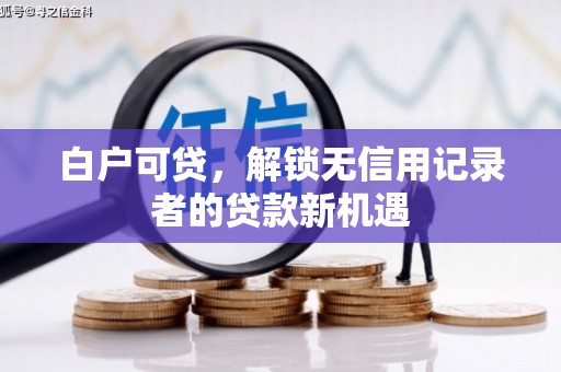 新园白户可贷，解锁无信用记录者的贷款新机遇