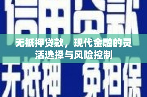 新园无抵押贷款，现代金融的灵活选择与风险控制