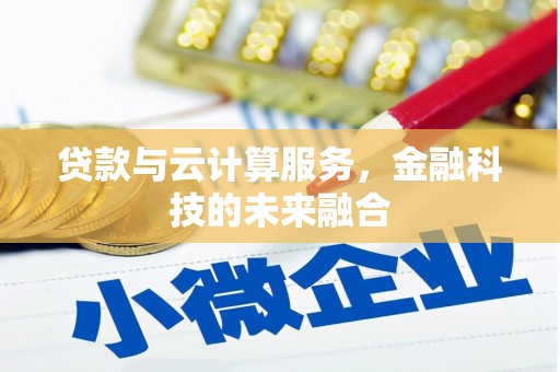 新园贷款与云计算服务，金融科技的未来融合