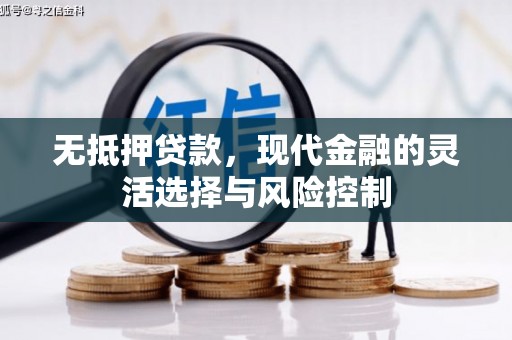 新园无抵押贷款，现代金融的灵活选择与风险控制