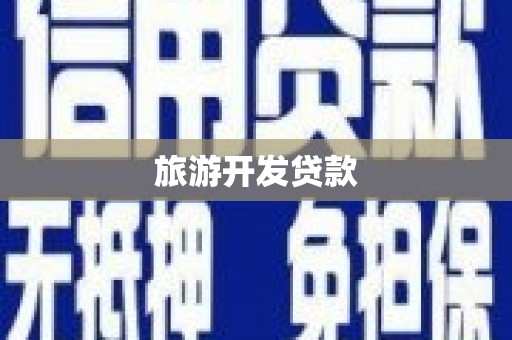 新园旅游开发贷款