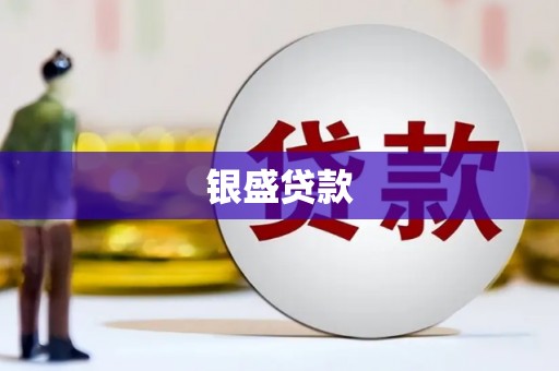 新园银盛贷款
