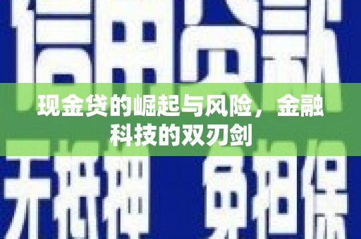 新园现金贷的崛起与风险，金融科技的双刃剑