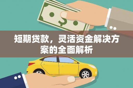新园短期贷款，灵活资金解决方案的全面解析