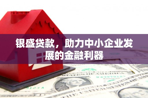 新园银盛贷款，助力中小企业发展的金融利器