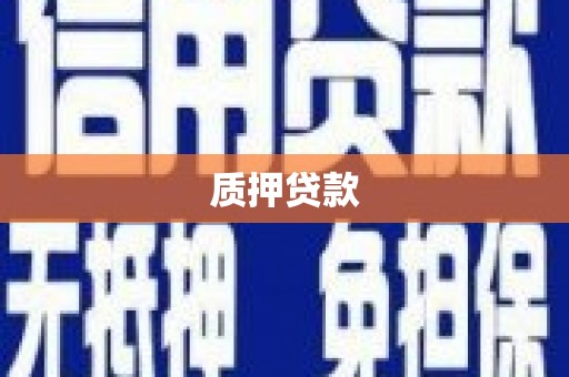 新园质押贷款