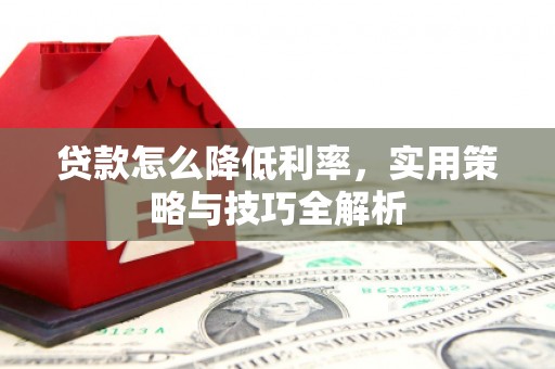 新园贷款怎么降低利率，实用策略与技巧全解析