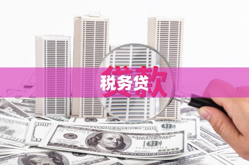 新园税务贷