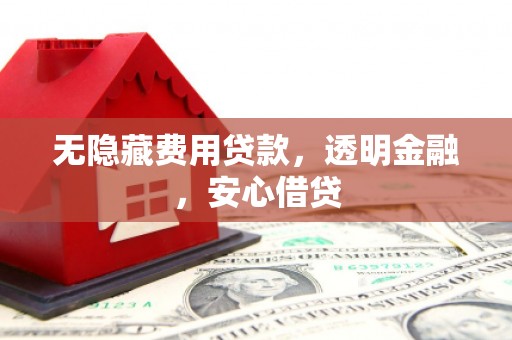 新园无隐藏费用贷款，透明金融，安心借贷