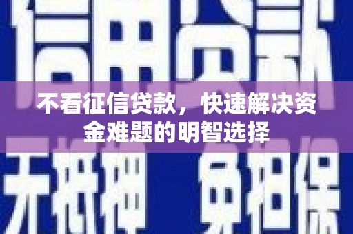 新园不看征信贷款，快速解决资金难题的明智选择