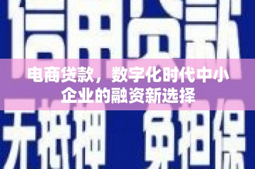 新园电商贷款，数字化时代中小企业的融资新选择