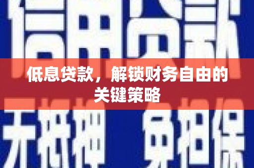 新园低息贷款，解锁财务自由的关键策略