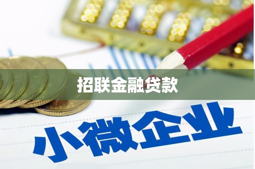 新园招联金融贷款