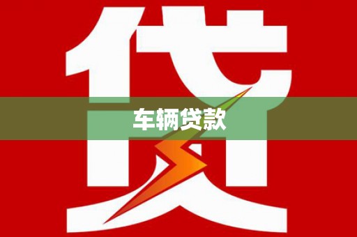 新园车辆贷款
