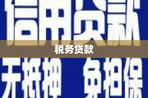 新园税务贷款