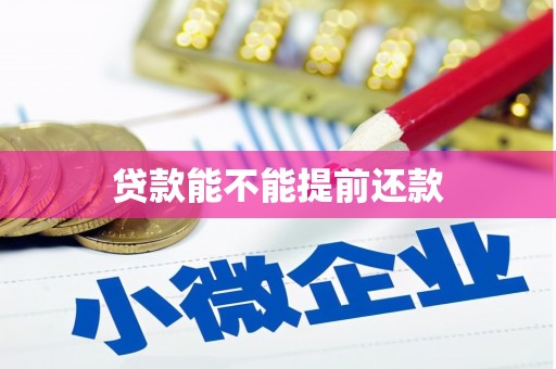 新园贷款能不能提前还款