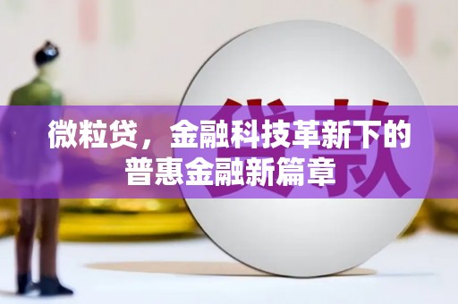 新园微粒贷，金融科技革新下的普惠金融新篇章