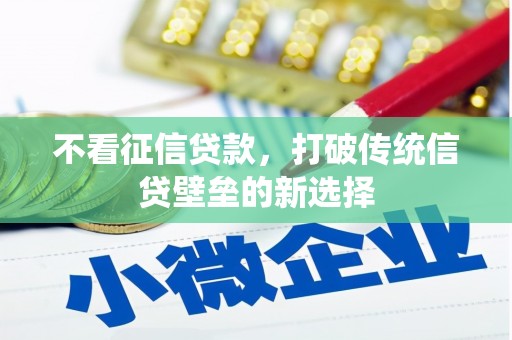 新园不看征信贷款，打破传统信贷壁垒的新选择
