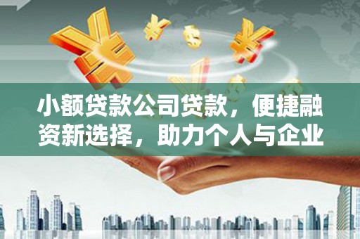 新园小额贷款公司贷款，便捷融资新选择，助力个人与企业成长