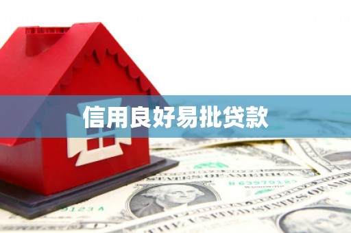 新园信用良好易批贷款