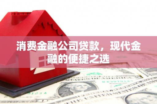 新园消费金融公司贷款，现代金融的便捷之选