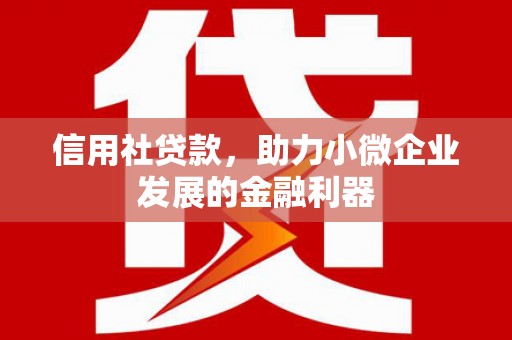 新园信用社贷款，助力小微企业发展的金融利器