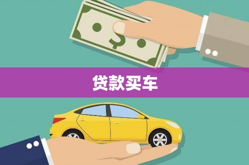新园贷款买车